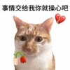 手機誒對見(jiàn)到你打卡打卡